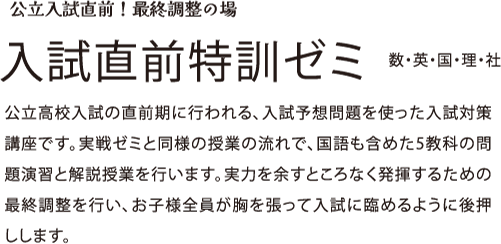 入試直前特訓ゼミ 数学、英語、国語、理科、社会 公立入試直前 最終調整の場